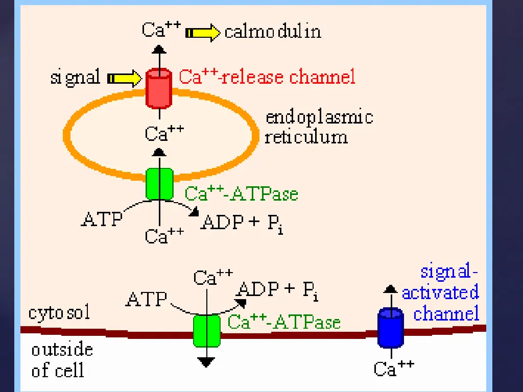 slide22
