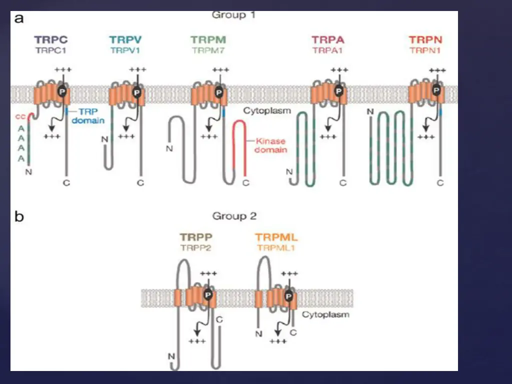 slide28