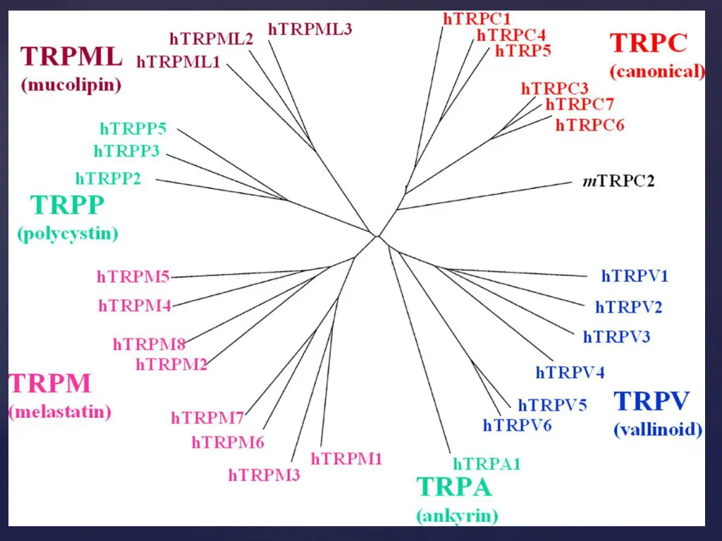 slide29