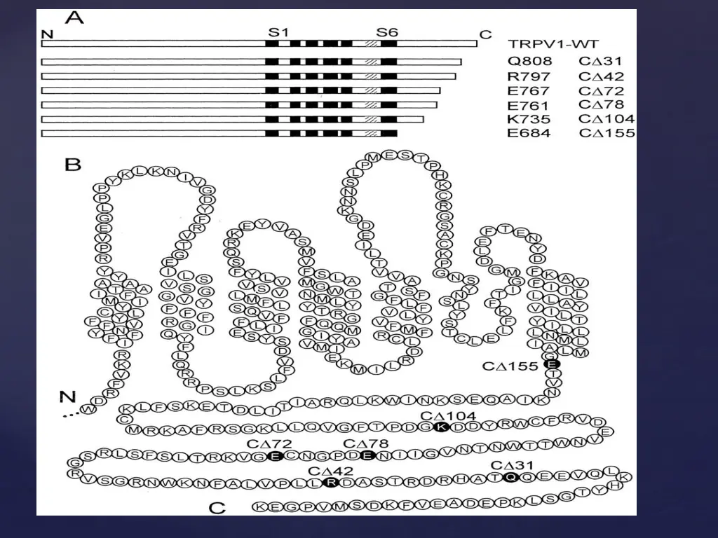 slide39