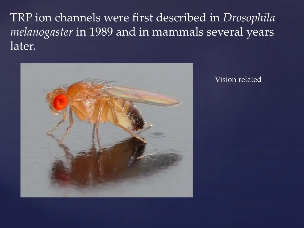 trp ion channels were first described