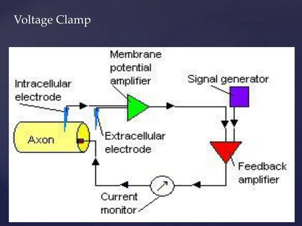 voltage clamp