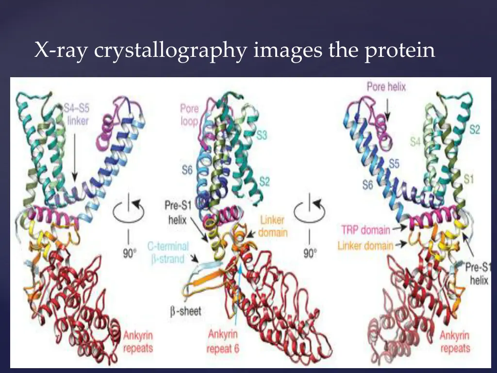 x ray crystallography images the protein