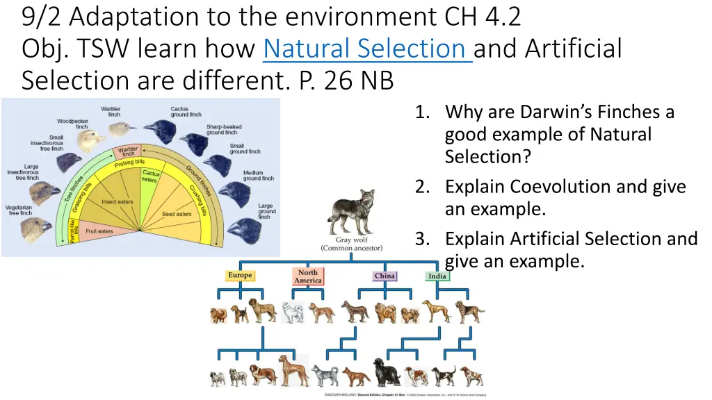 9 2 adaptation to the environment