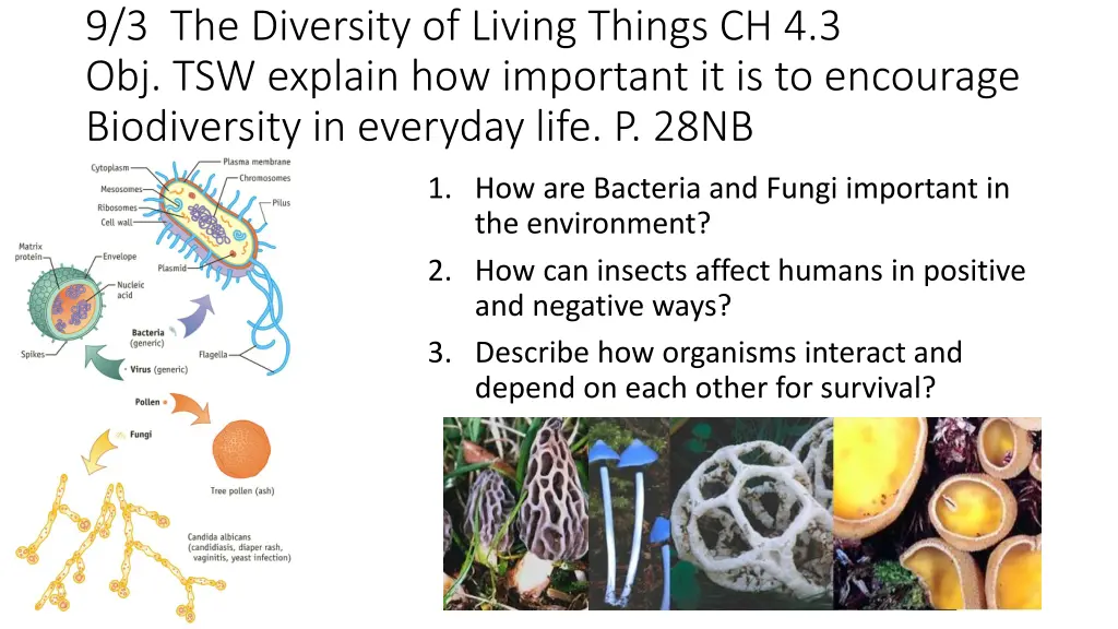 9 3 the diversity of living things