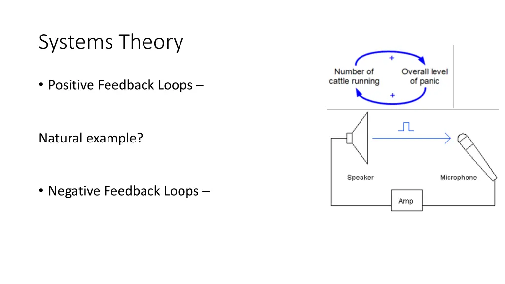 systems theory