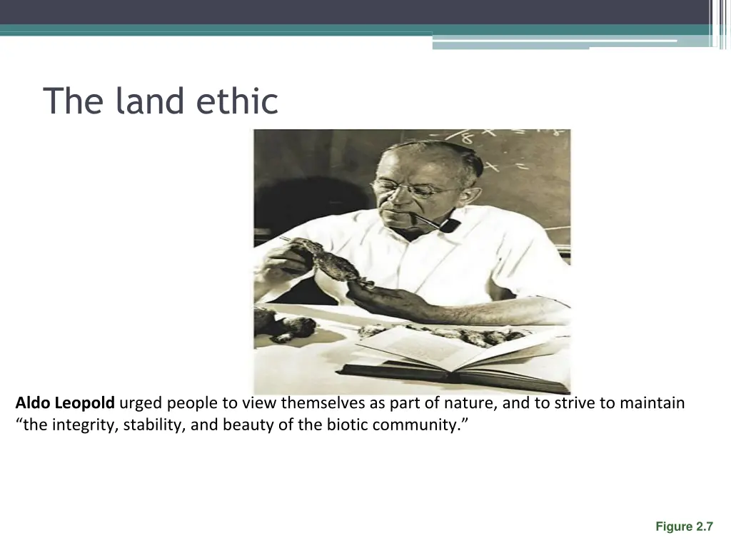 the land ethic