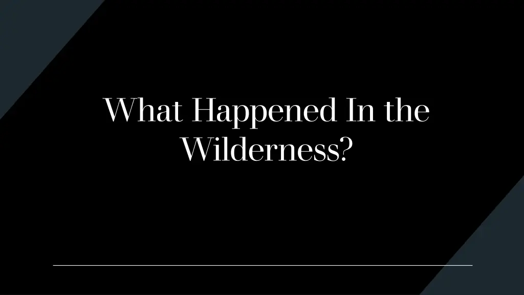 what happened in the wilderness