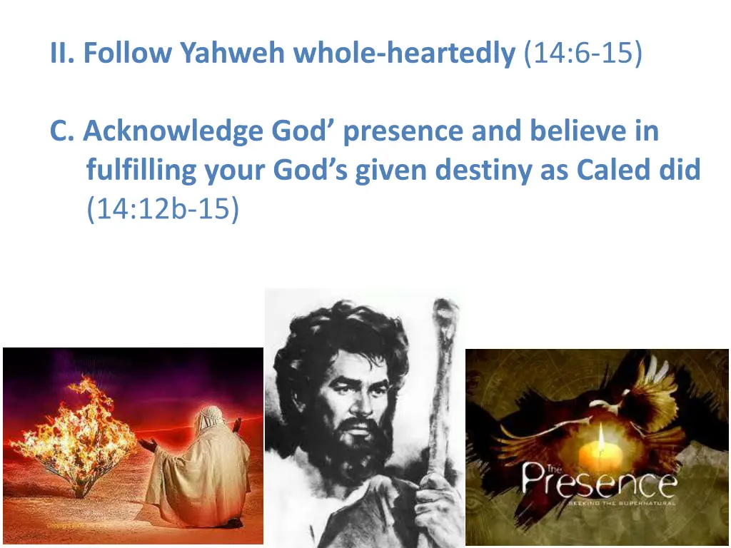 ii follow yahweh whole heartedly 14 6 15 3