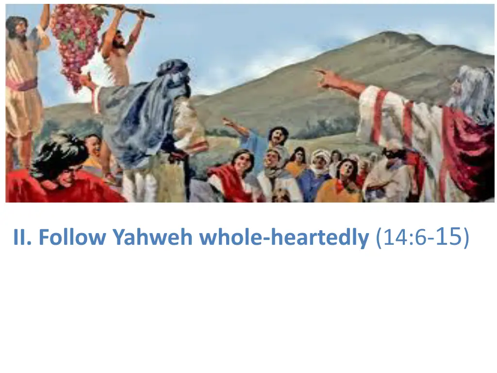 ii follow yahweh whole heartedly 14 6 15