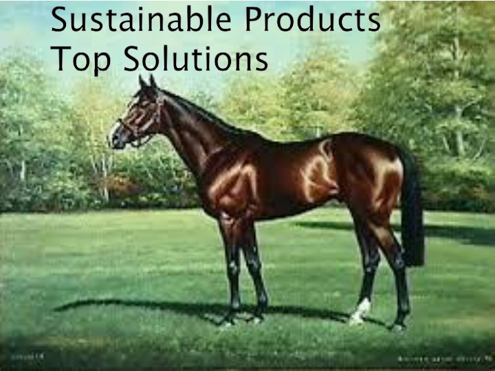 sustainable products top solutions