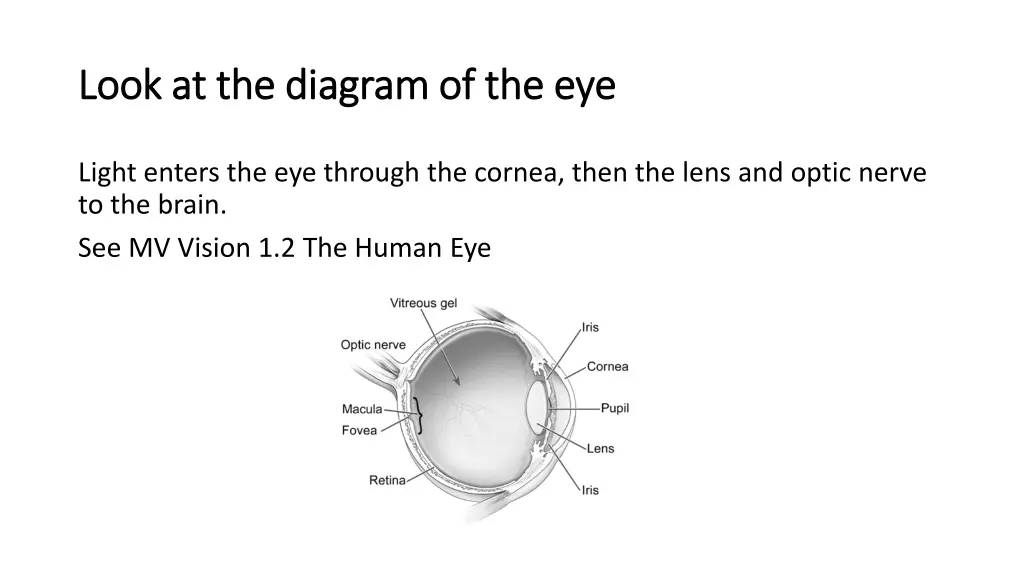 look at the diagram of the eye look