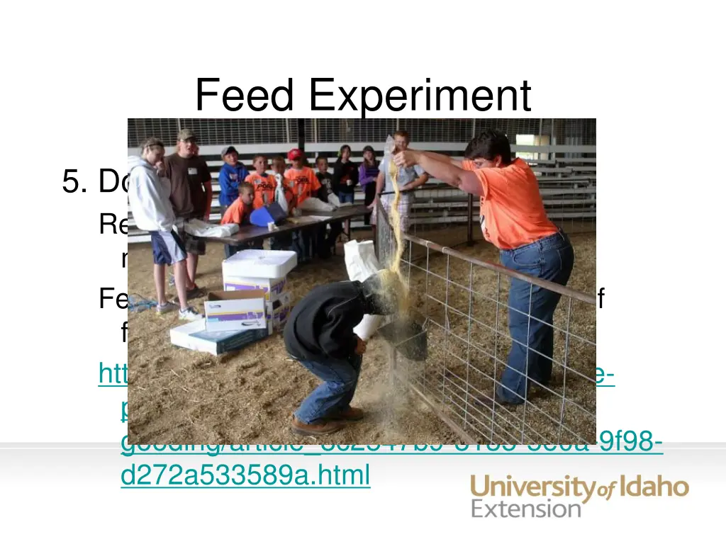 feed experiment 2