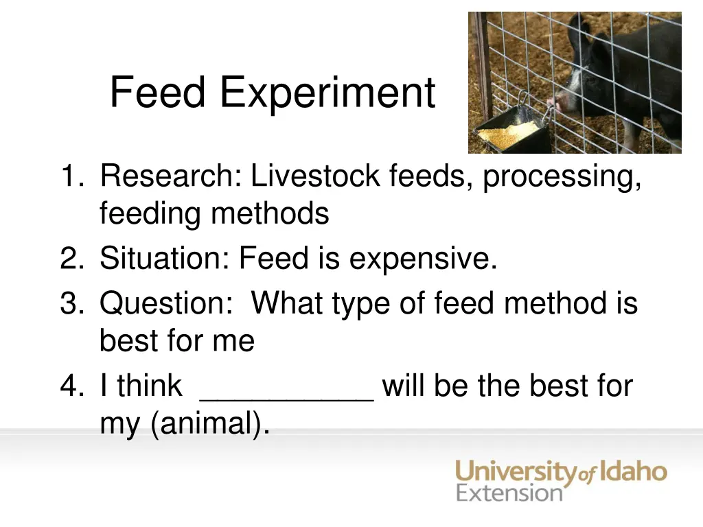 feed experiment