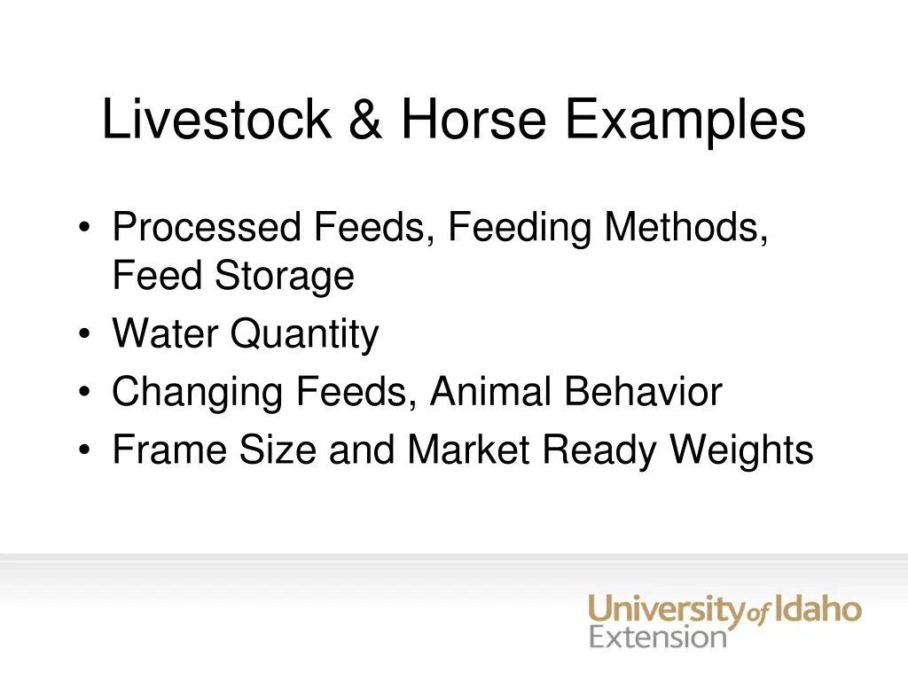 livestock horse examples