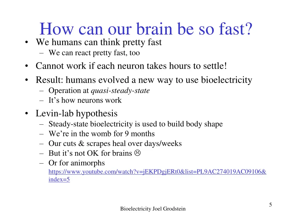how can our brain be so fast we humans can think