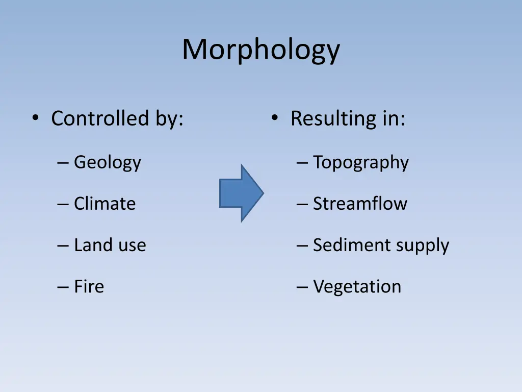 morphology