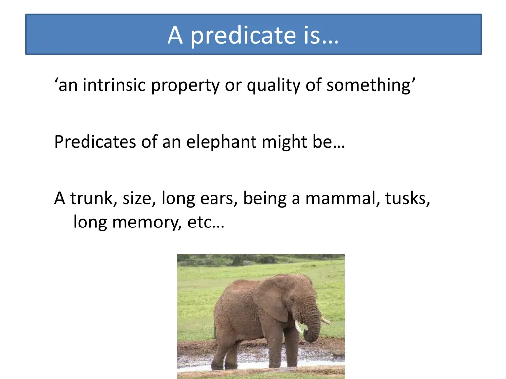 a predicate is