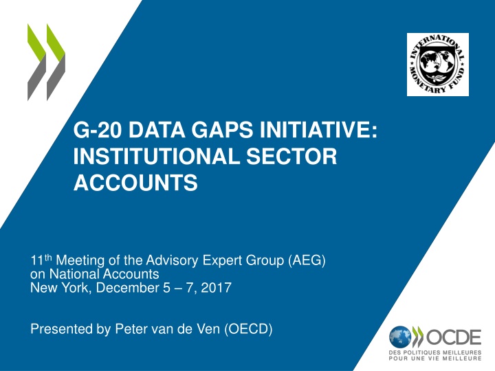 g 20 data gaps initiative institutional sector