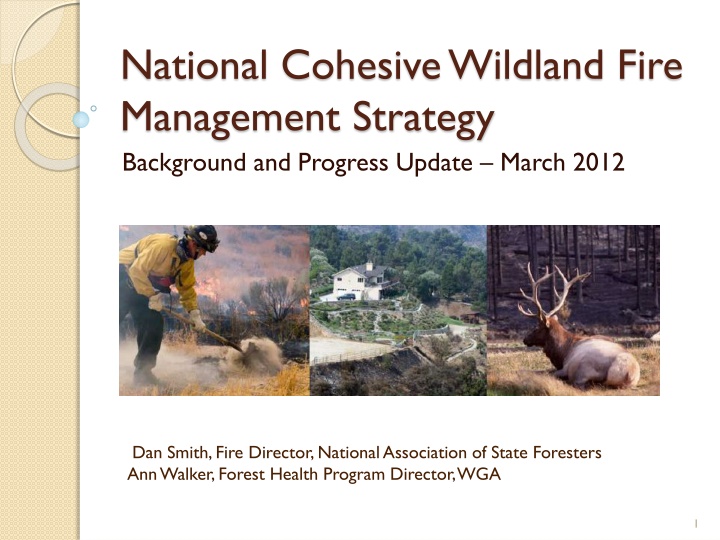 national cohesive wildland fire management