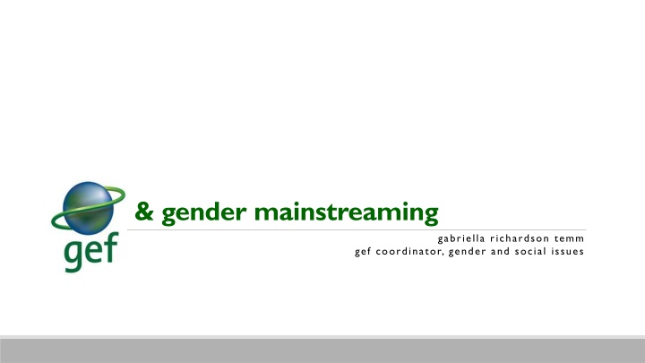 gender mainstreaming