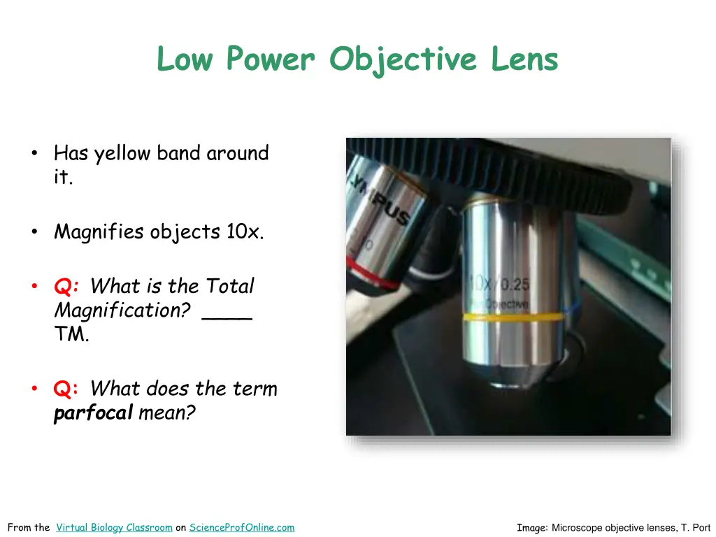 low power objective lens