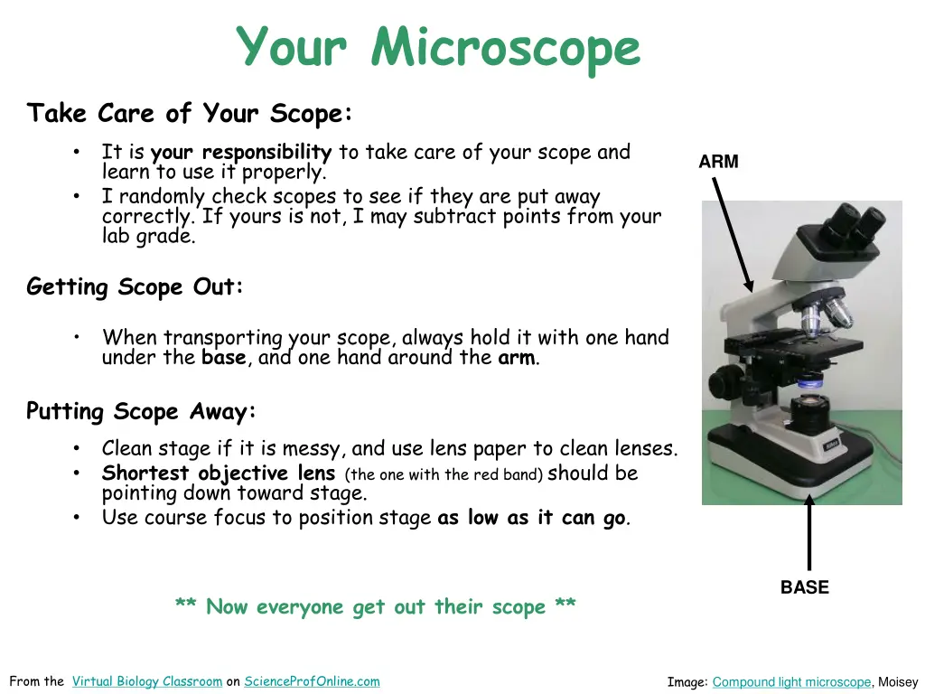 your microscope