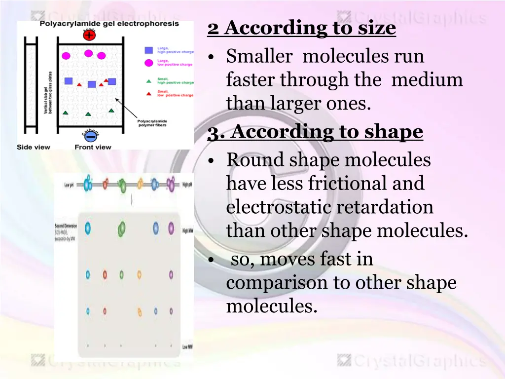 2 according to size smaller molecules run faster