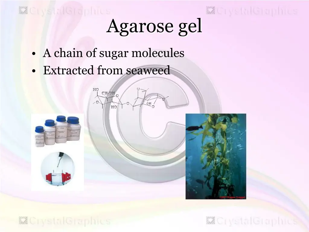 agarose gel