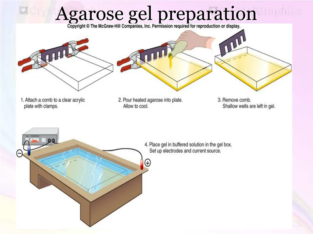 agarose gel preparation