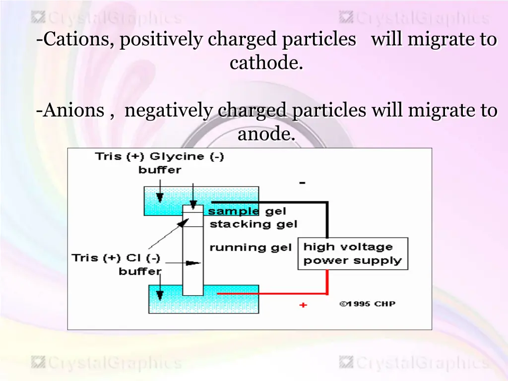 cations positively charged particles will migrate