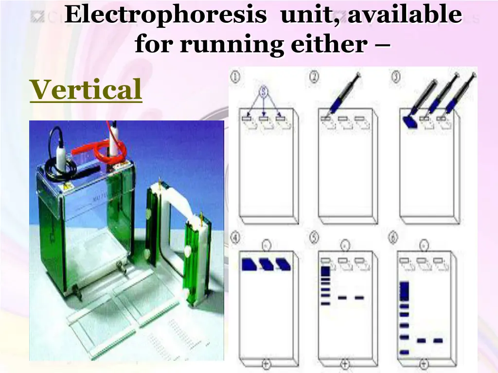 electrophoresis unit available for running either