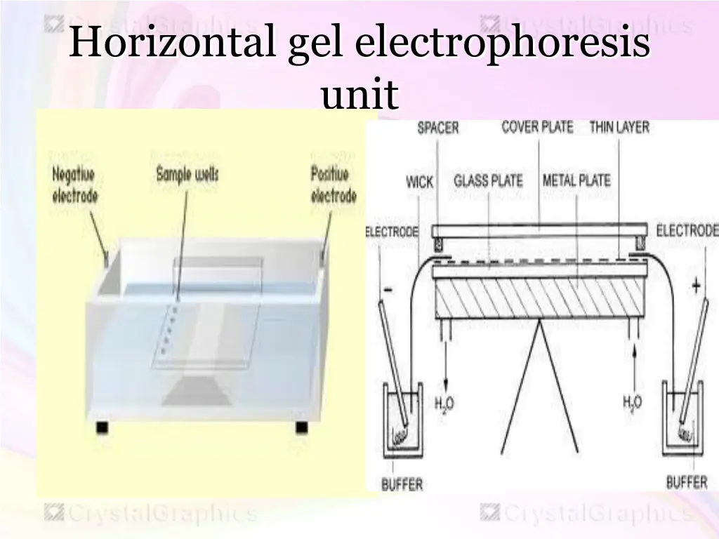 horizontal gel electrophoresis unit