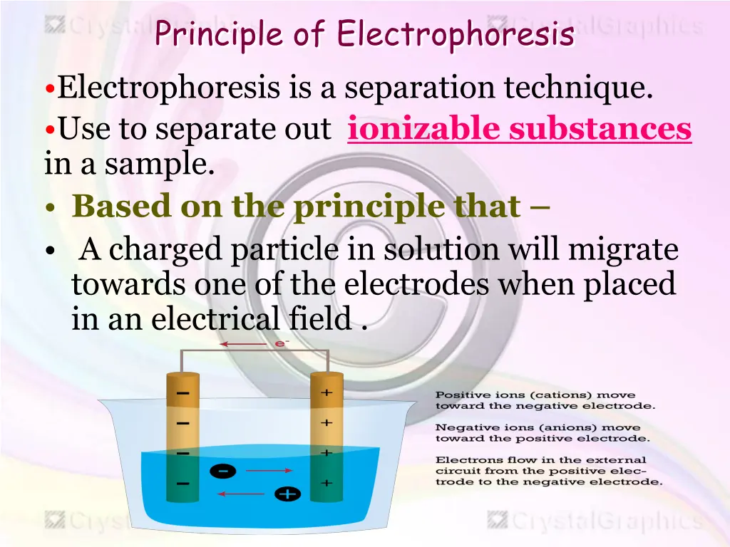 principle of electrophoresis electrophoresis