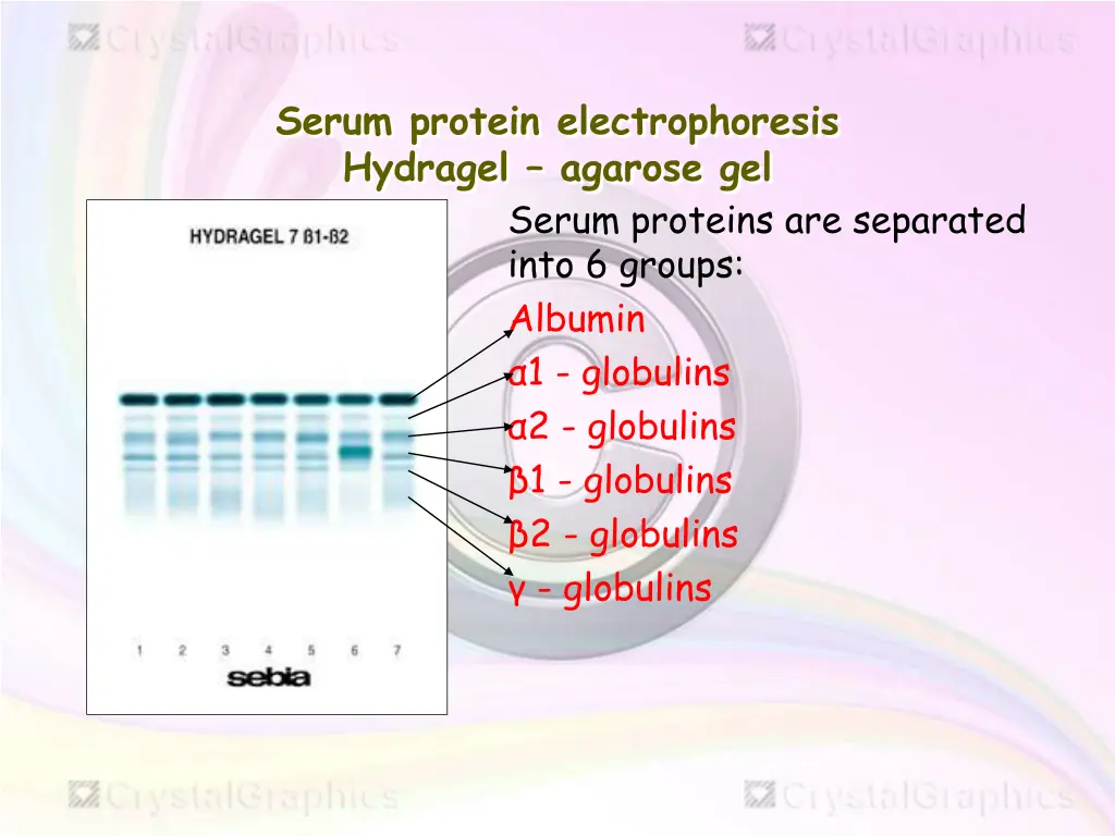 serum protein electrophoresis hydragel agarose