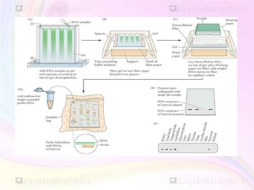 slide39