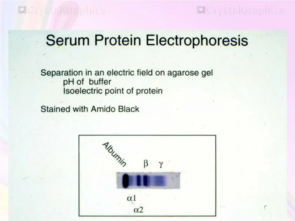 slide40