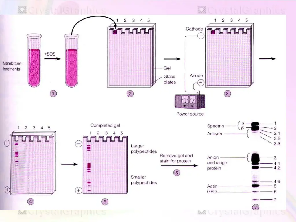 slide42