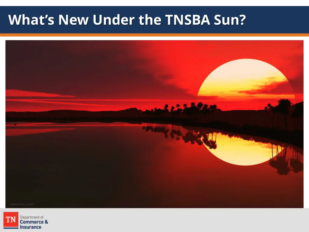 what s new under the tnsba sun