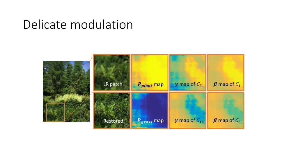 delicate modulation