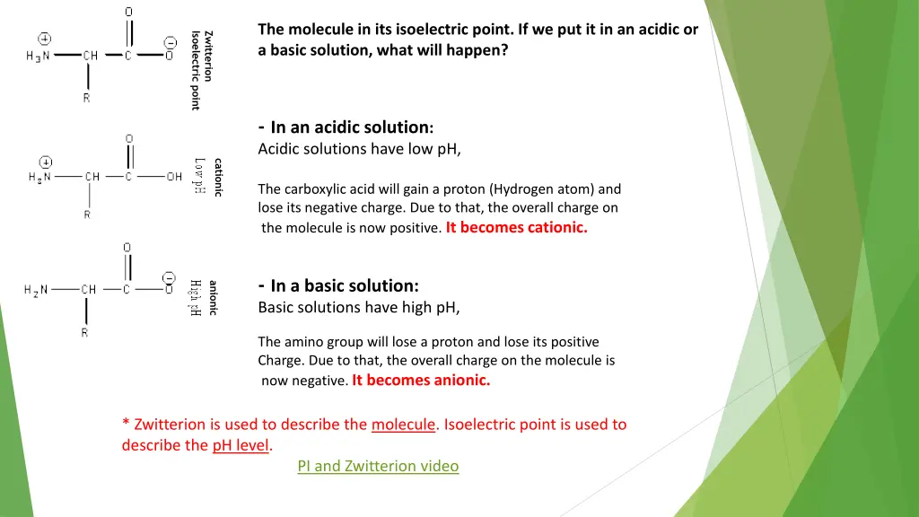 the molecule in its isoelectric point