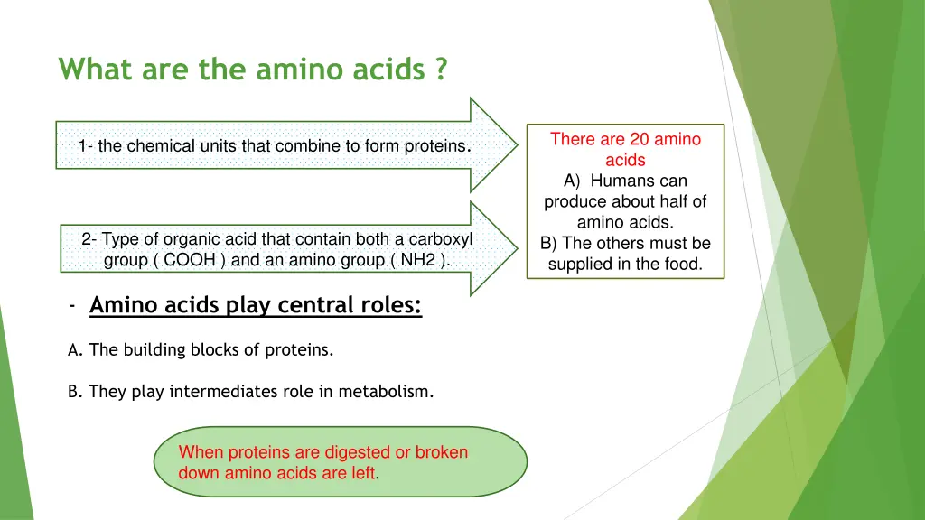 what are the amino acids