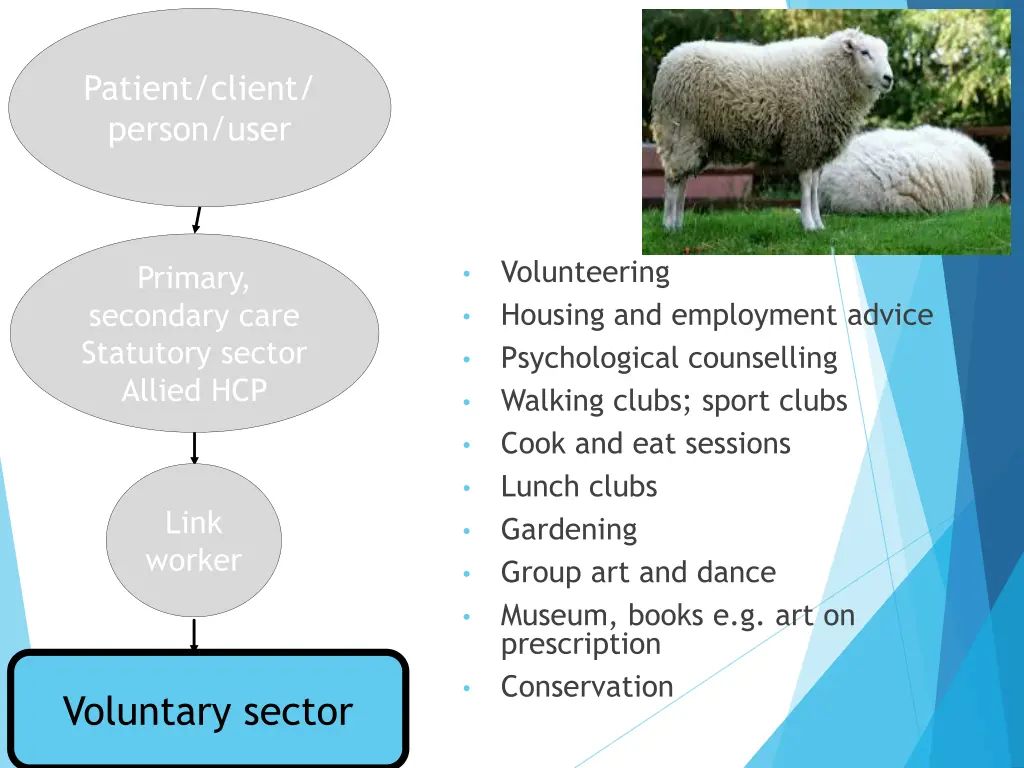 patient client person user 1