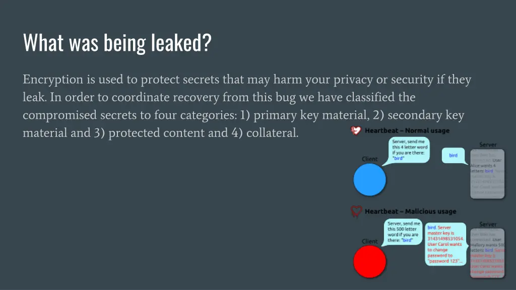 what was being leaked