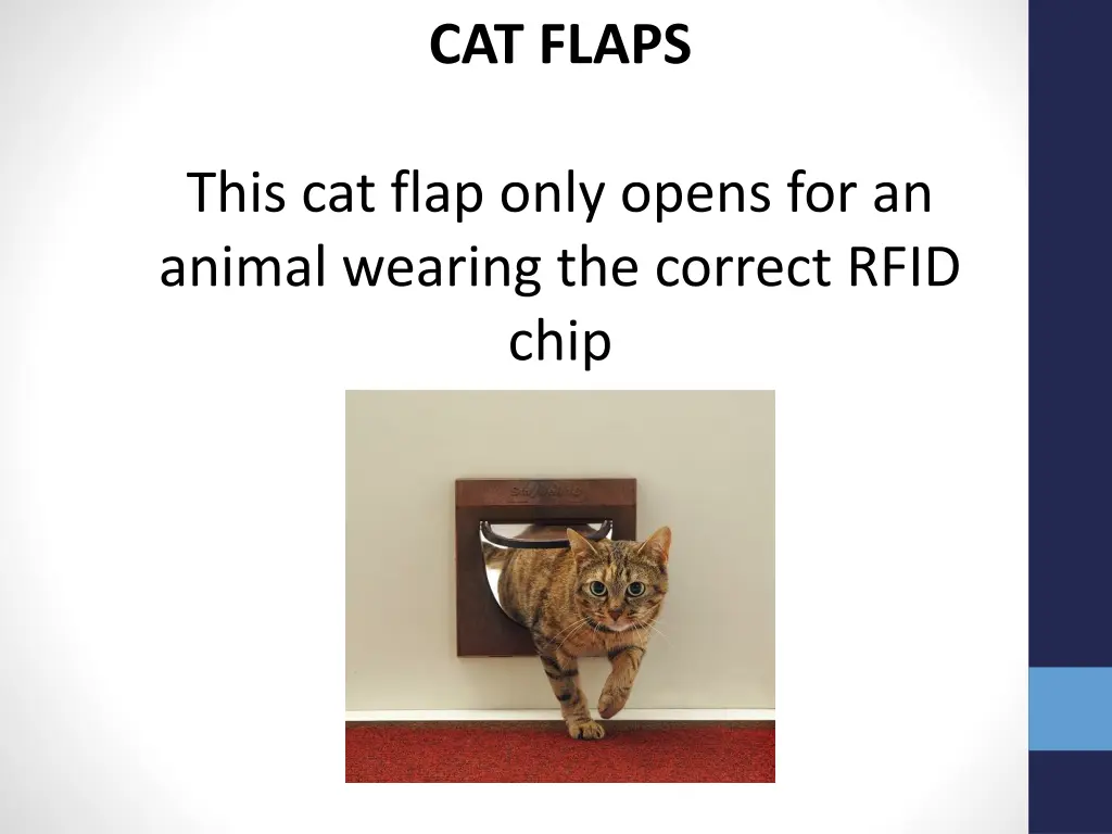 cat flaps