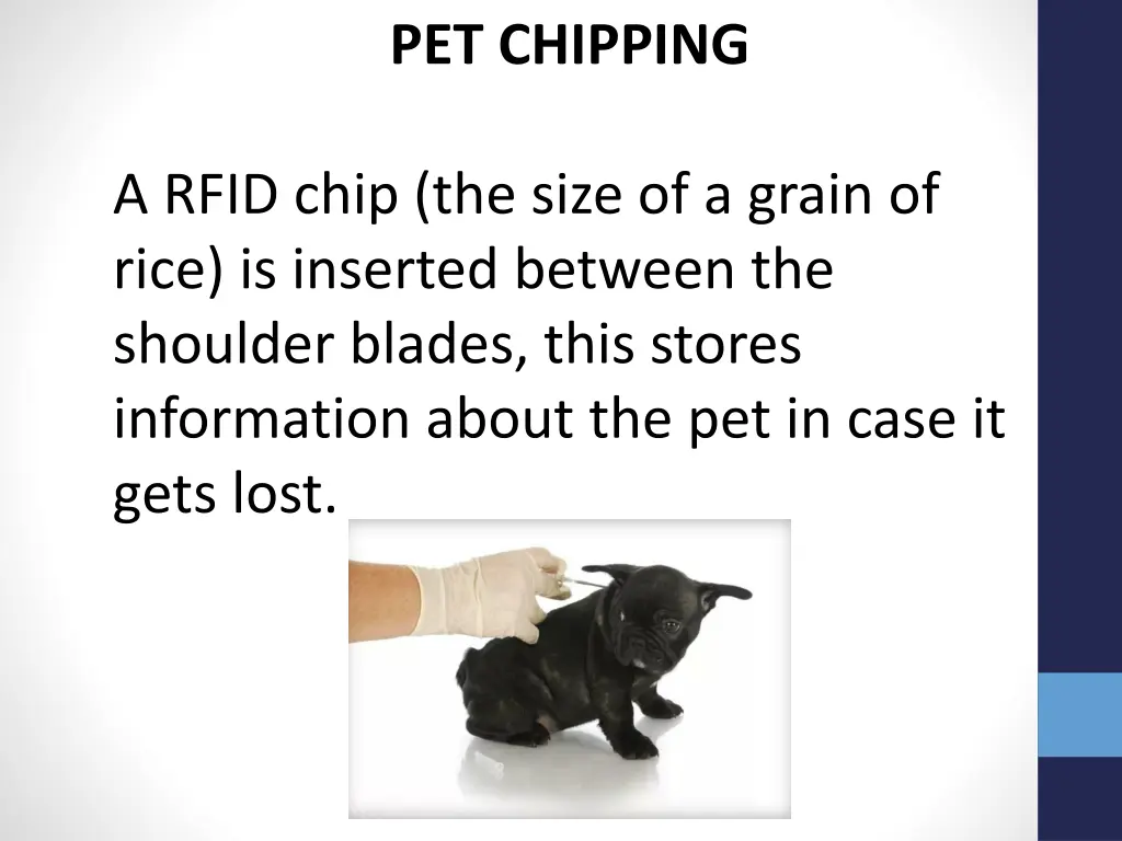 pet chipping