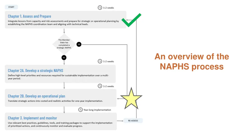 an overview of the naphs process