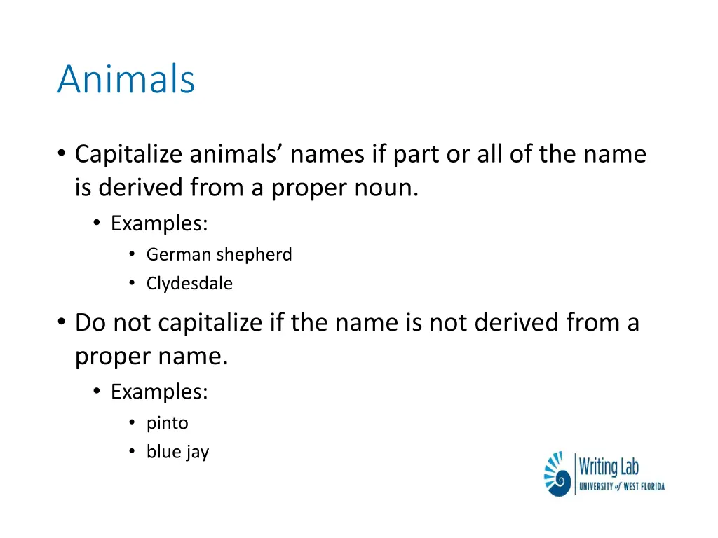 animals