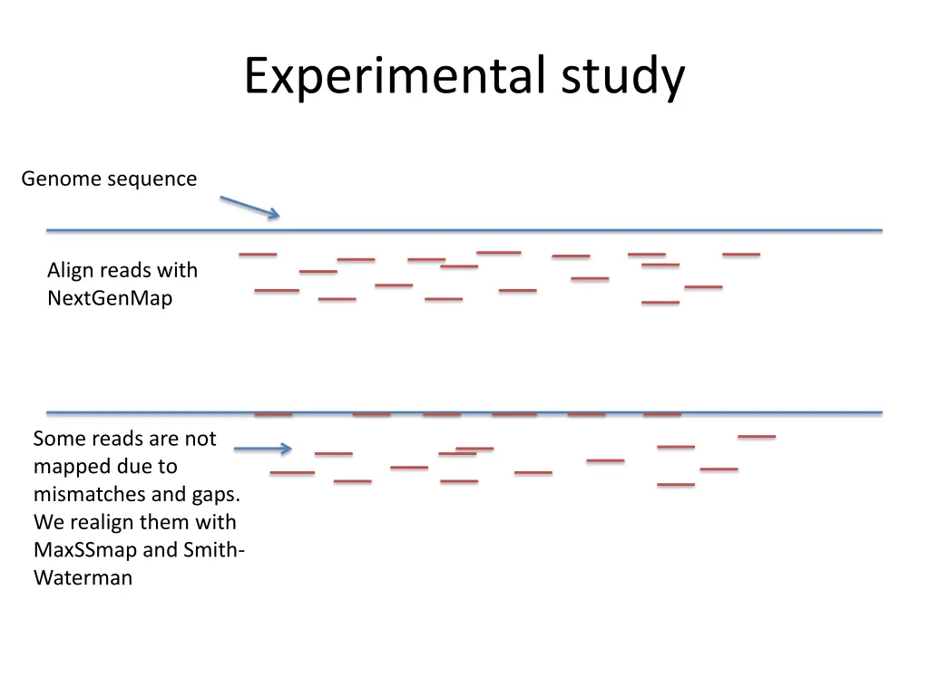 experimental study