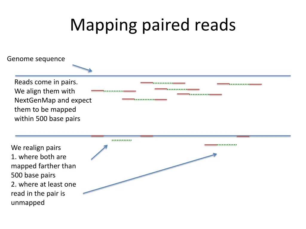 mapping paired reads